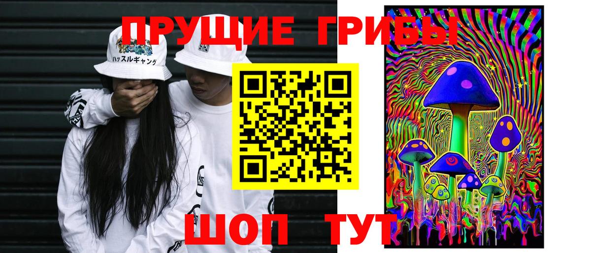 Псилоцибиновые грибы мицелий  Вход с VPN  Пермь 